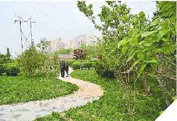 郑州锦荣婚纱_郑州暴雨