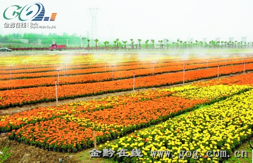 4ae1bd2be6ea2eb9ec85afa02c276aad.jpg