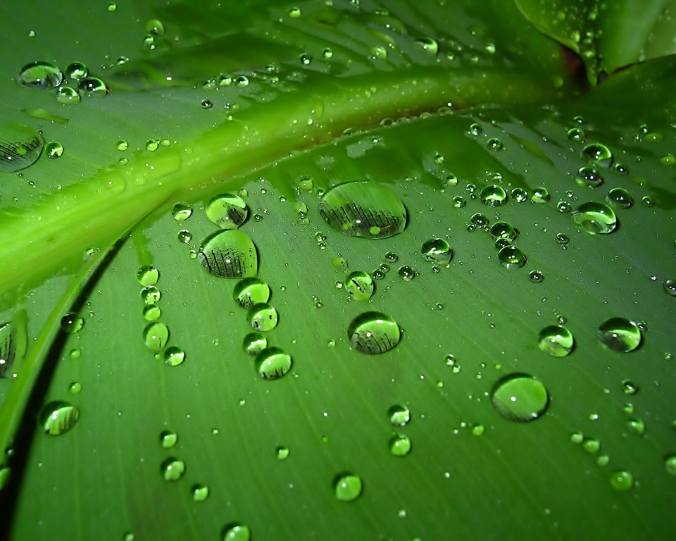 4beb06c9c96afdfc0493855a962338a2.jpg