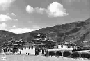 隆务镇人口_人口普查(2)