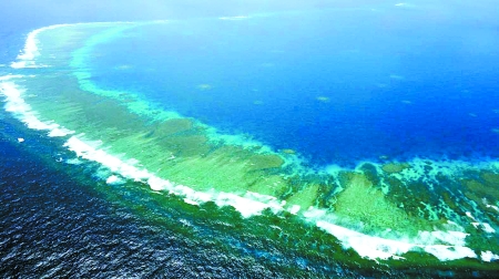 鲸鱼种类有多少 7ab03eb1e78d3d6d0c7e2c76a91e884e.jpg