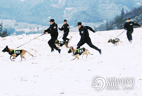 雪地环境训练。胡海燕摄