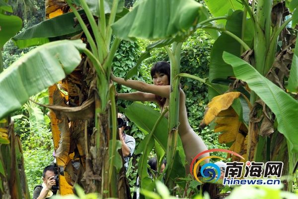 美丽海南<em>人体</em>摄影海口开拍:模特草丛中惊艳(图