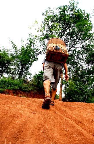 宜宾最美 挑夫 校长步行三小时为山里娃背送营