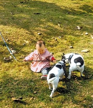 大龄产妇妞妞难产记