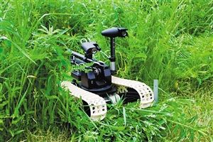 战争机器人 个个都彪悍