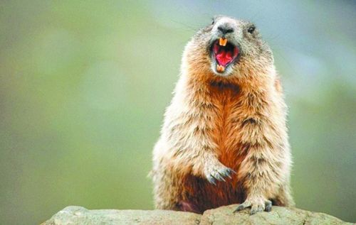 笑吧来了图片_笑吧来了(2)_社会热点图片 NIB