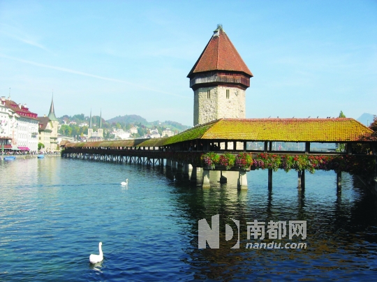 欧洲游一国时代来临