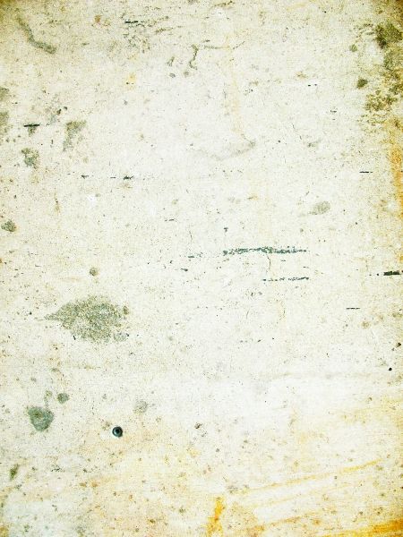 青春,向上
