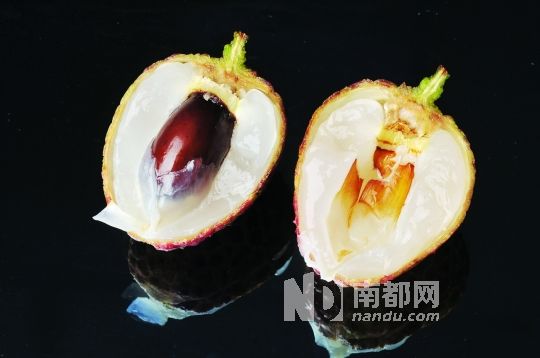 成熟了!上市了!周末还可去哪里摘荔枝?