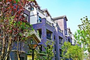 俊峰·香格里拉爱心粽子送3200名业主