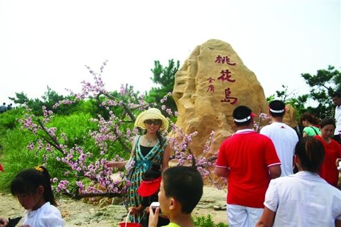 日照桃花岛主欲砸两亿搞旅游