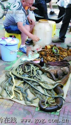 摊贩当街叫卖死蛇医生说蛇酒治皮肤病不靠谱