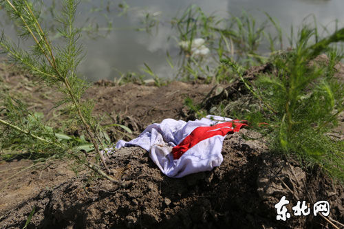 呼兰区沈家镇8名男孩村中戏水 3人溺水身亡(视