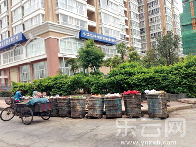 大理拟收城市生活垃圾处理费 城镇每户每月10