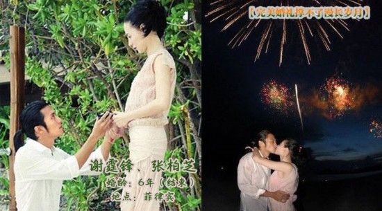张柏芝&谢霆锋