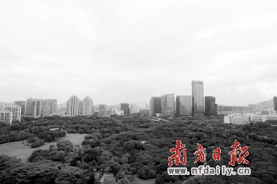 南山gdp_广东十强区最新出炉 广佛GDP相加还差了638亿(3)