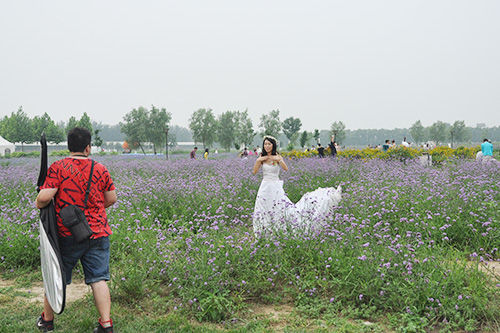 园林景婚纱照_婚纱照风格