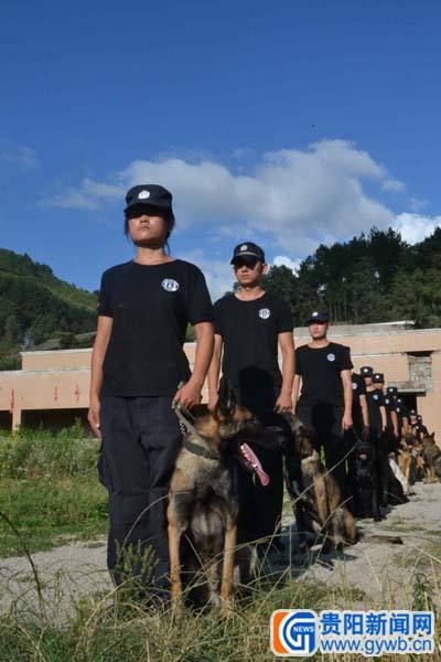 贵定郊区警犬训练基地 队员烈日砺兵