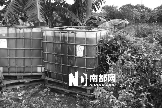 原标题:昨日又发现6吨危险废液 最新发现的藏在废弃木柴堆下的危险废液。南都记者 郑志成 摄 香蕉林藏危险废物追踪 南都讯 记者郑志成 四百多桶的百余吨危险废物,藏身杏坛高赞村浓密香蕉林中(详见南都2013年8月25日A A 11版),肇事者去向仍在追查中。昨日,该点又发现最后6桶危险废液,总量约6吨,此外还发现两处简陋提炼装置和空燃料桶,环保人士推测该处弃置点疑为黑加工点。由于林密塘多路窄,现场清污工作进展艰难,昨天下午基本结束。 6桶不明危险废液藏匿废木堆下 昨日下午2时30分许,记者在高赞村浦