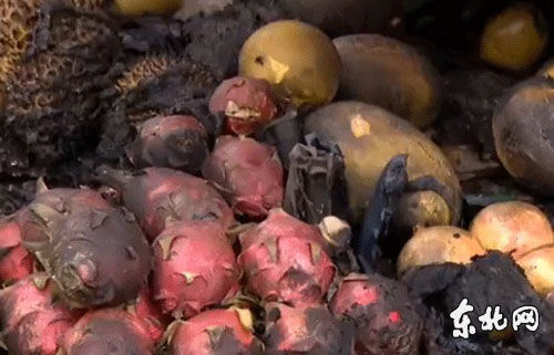 被烧焦的水果.东北网网友提供