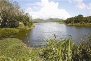 清林径水库竟成养殖场