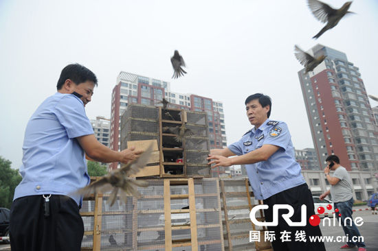 河北经济警方报道_河北经济警方报道 –(3)