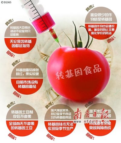 <em>圣女果</em>小黄瓜非<em>转基因</em>_资讯频道_凤凰网