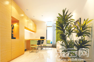 实力铸就品质云南最大骨科医院华丽亮相