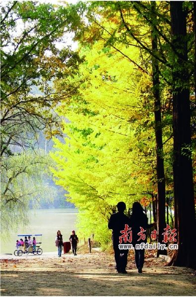 9月底10月初俄罗斯的天气穿什么衣服, 莫斯科