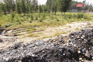 行唐县先行一步 探索建设大型环保煤炭物流基