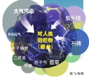 世卫机构认定大气污染致癌