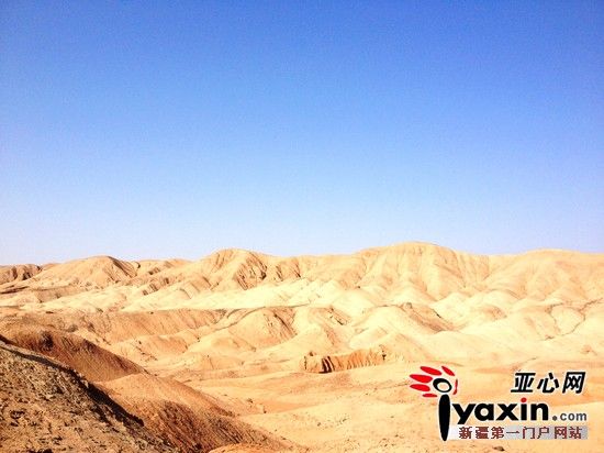 鄯善新疆巨龙命名仪式及恐龙化石保护野外现