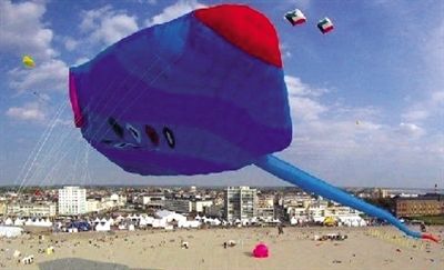 世界上最大的风筝