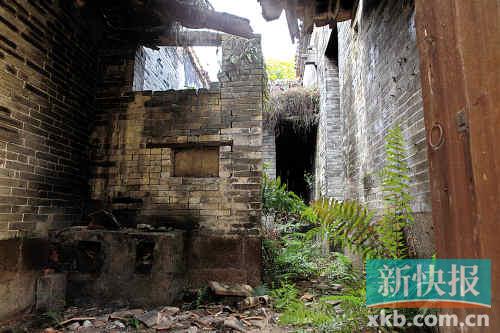 野草掩踝 故居厅堂变颓壁 魂归何处 阴宅一度亦