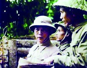 奠边府战役中的武元甲