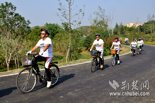 中老年自行车爱好者骑行蔡甸后官湖迎健康重
