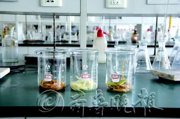 华西村人均收入_人均摄盐量(2)