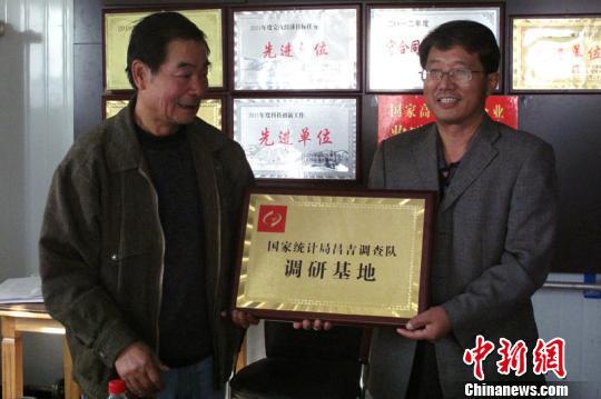 国家数据统计局_国家统计局调查队收入(2)