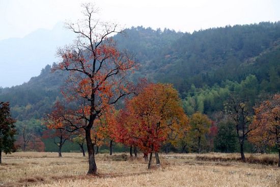 罗田县九资河镇gdp_罗田县九资河镇地图