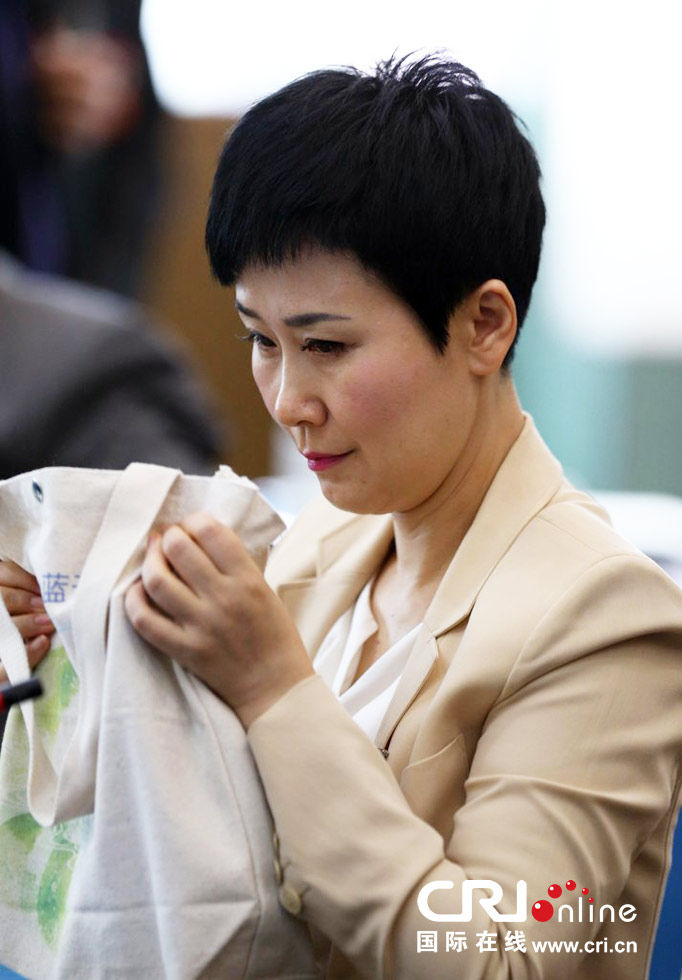 李小琳手拿环保袋低调参加两会(高清组图)|政