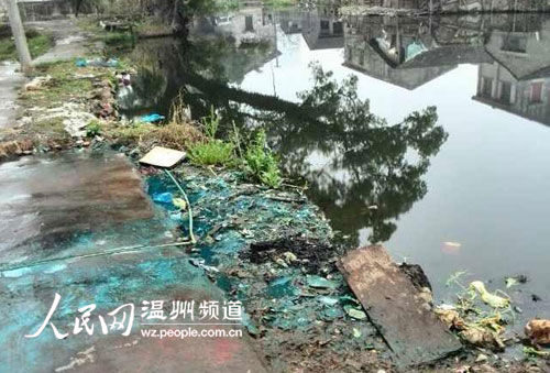 平阳:河道警长巡河护水 非法烂板厂老板被拘|污