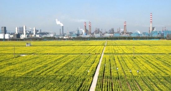 莘县实验高中_莘县2006年人均收入(3)