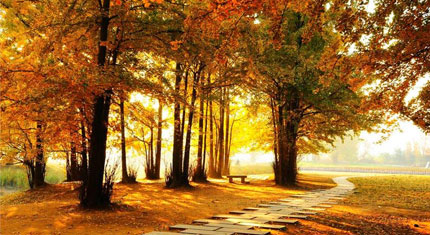 南雄gdp_南雄小吃特产图片(2)