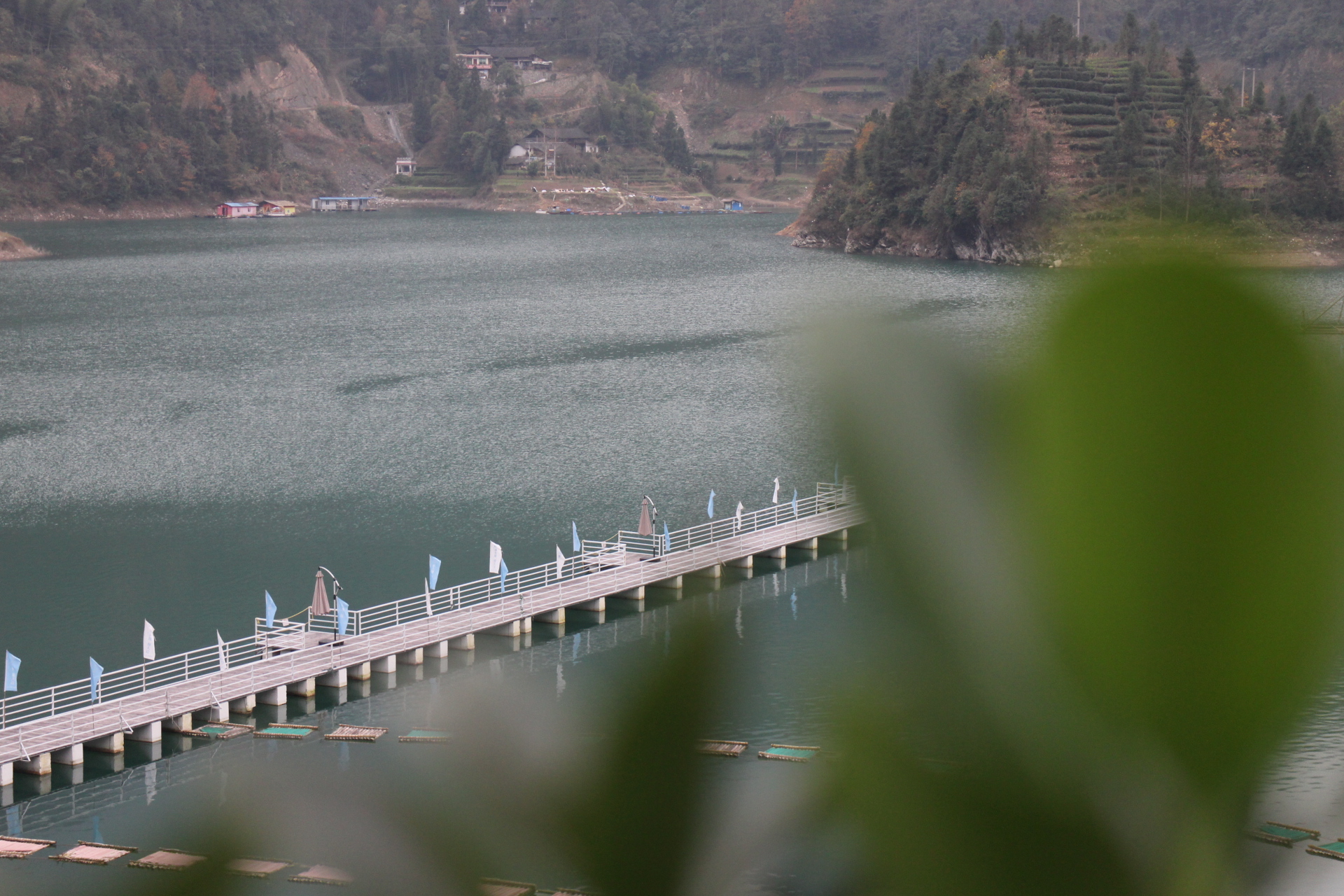 华盾克瑞斯庄园