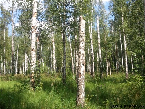 Android2.2操作系统 三星i9000仅1998