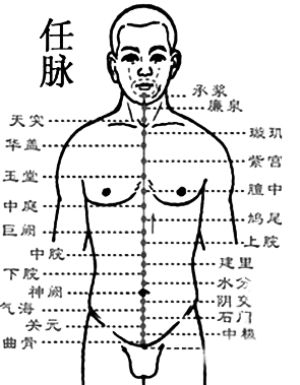 正下方双腿间的会阴穴为起点,从身体正面沿着正中央往上到唇下承浆穴