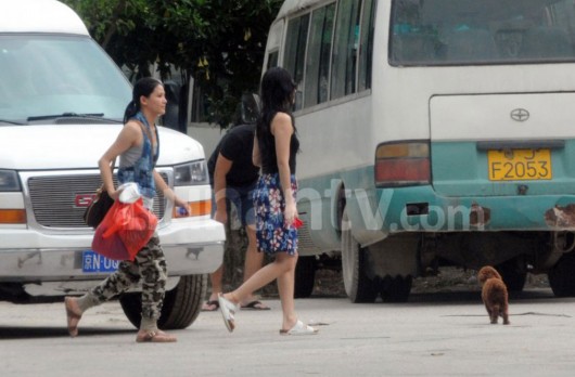  撒贝宁 追 章子怡 走家人策略