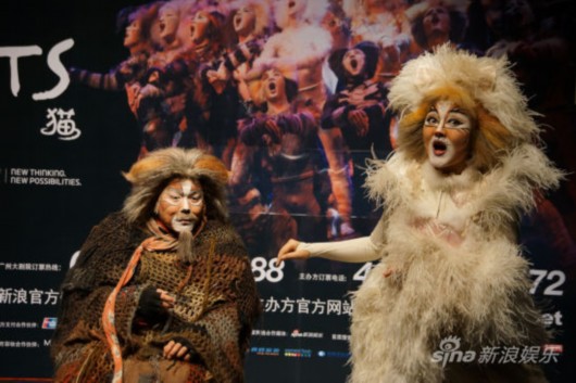 温柔猫和剧院猫