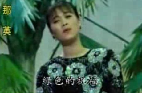 　　1992年 《好大一棵树》